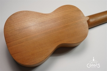 ukulele concert 14 FA.S